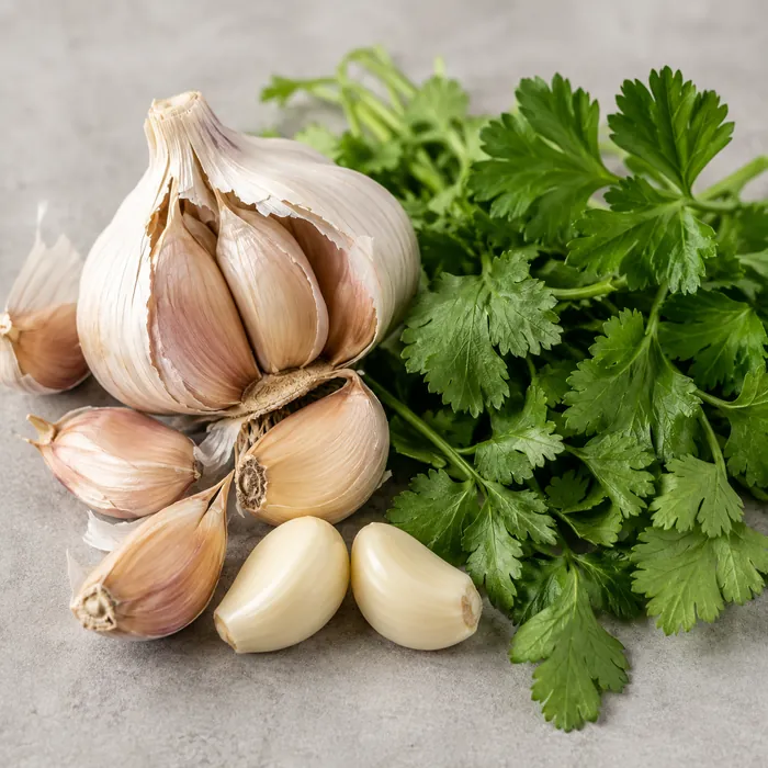 A head of garlic with cloves beside fresh cilantro and parsley